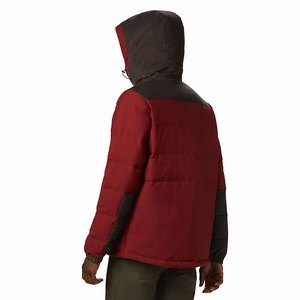 Columbia Winter Challenger™ Hooded Down Jacka Herr Röda (GFAZL9820)